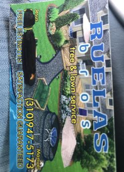 Affordable lawn service!!