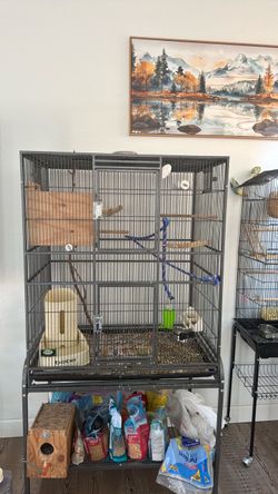 Birdcage