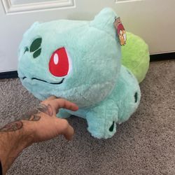 Pokémon Plushie 