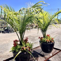 Large Ceramic Planter & flower arrangement.