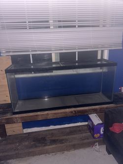 60 Gallon Fish Tank & Stand