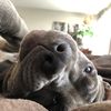 Sam