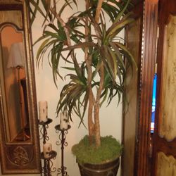 Beautiful 9-ft Tall Plant Fake