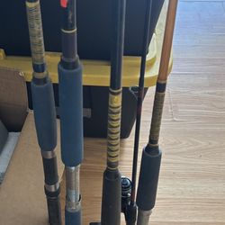 5 Fishing Rods 
