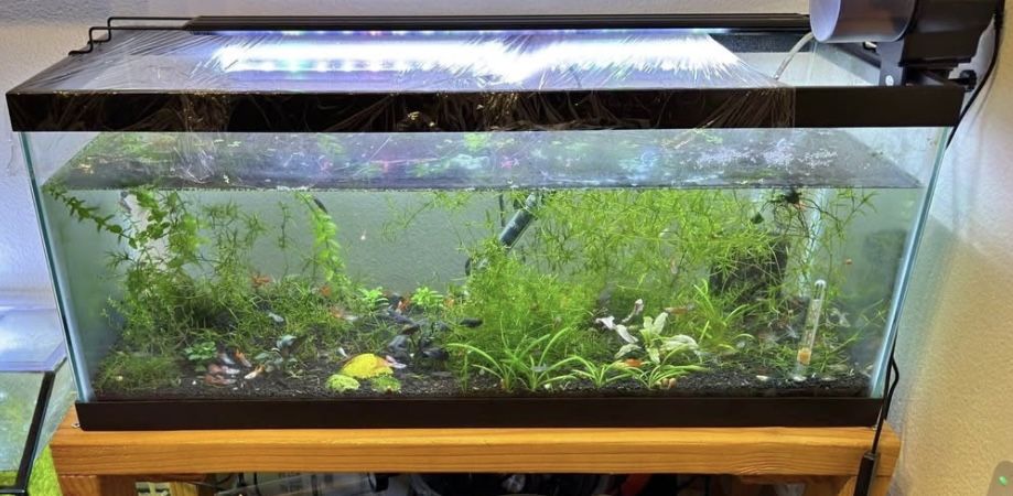 Aqueon 20 Gallon fish tank