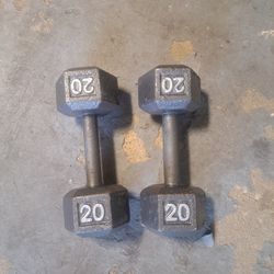 20 Lbs Dumbells 