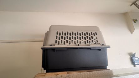 Hard-Sided Pet Travel Crate Carrier