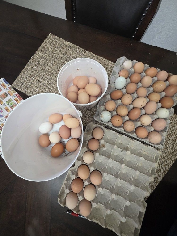 Fresh Farms Eggs