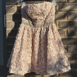 New no Tags Dress Size 7 Junior 