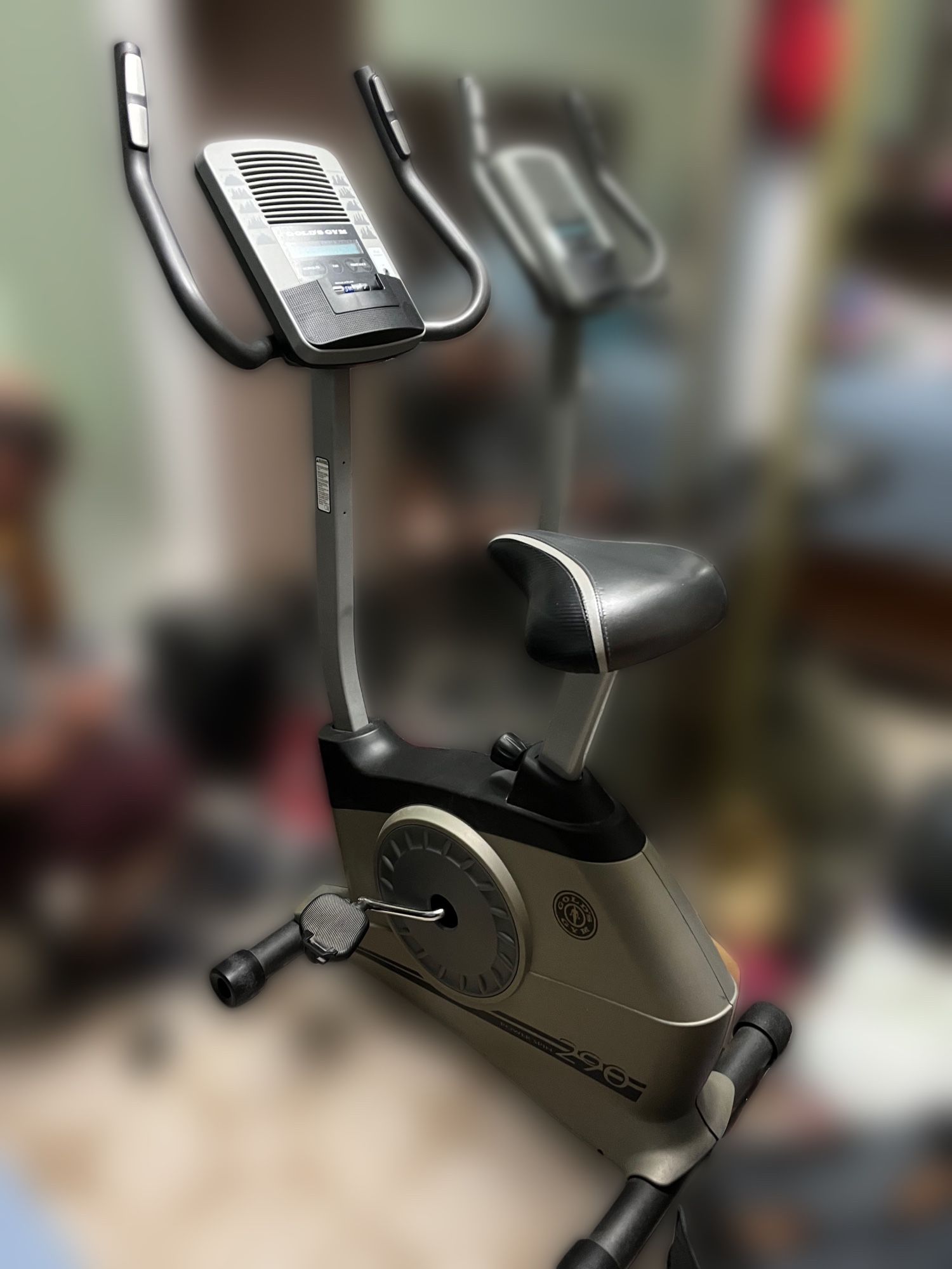 Gold’s Gym Power Spin 290 exercise bike