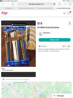 NEW 25 Artist Brushes