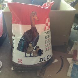 Duck Food