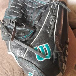 Wilson A500 12"
