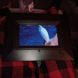 Electronic Picture Frame