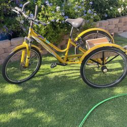 Mountain Bike Trike