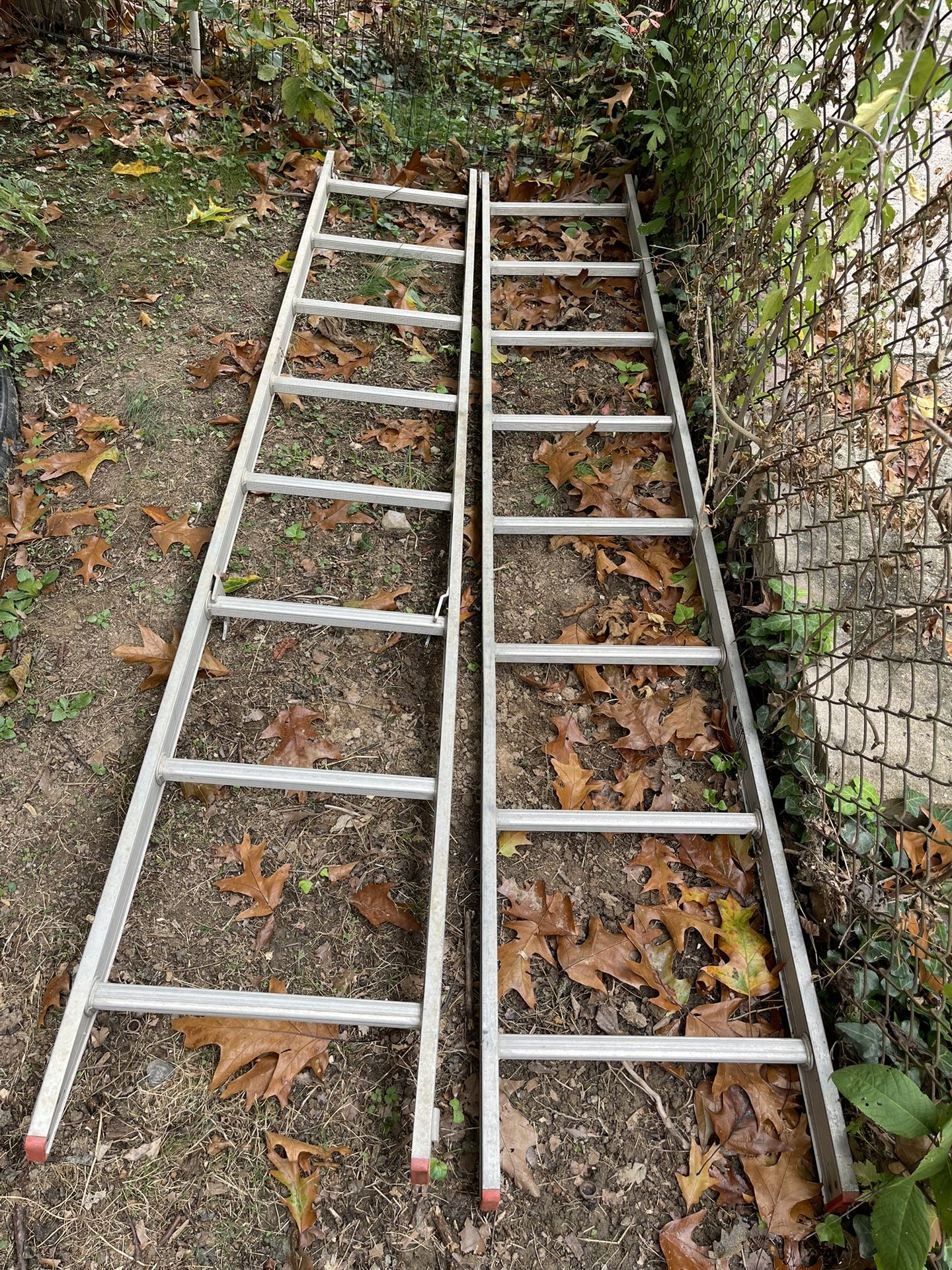 16 Feet Ladder