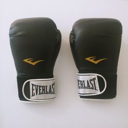 Everlast black Boxing Gloves ta: 14 Advanced pro Style boxing Gloves
