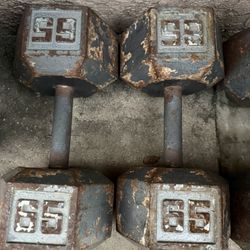 65 Lbs Dumbbells 