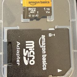 1TB micro Sd