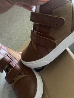 Ugg Shoe 