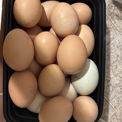 12 de Guevos orgánicos