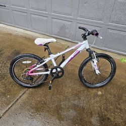 Haro Kids Bike 20