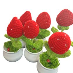 Tulip strawberry Crochet Flower Pot Red SS111-18 (12PC)