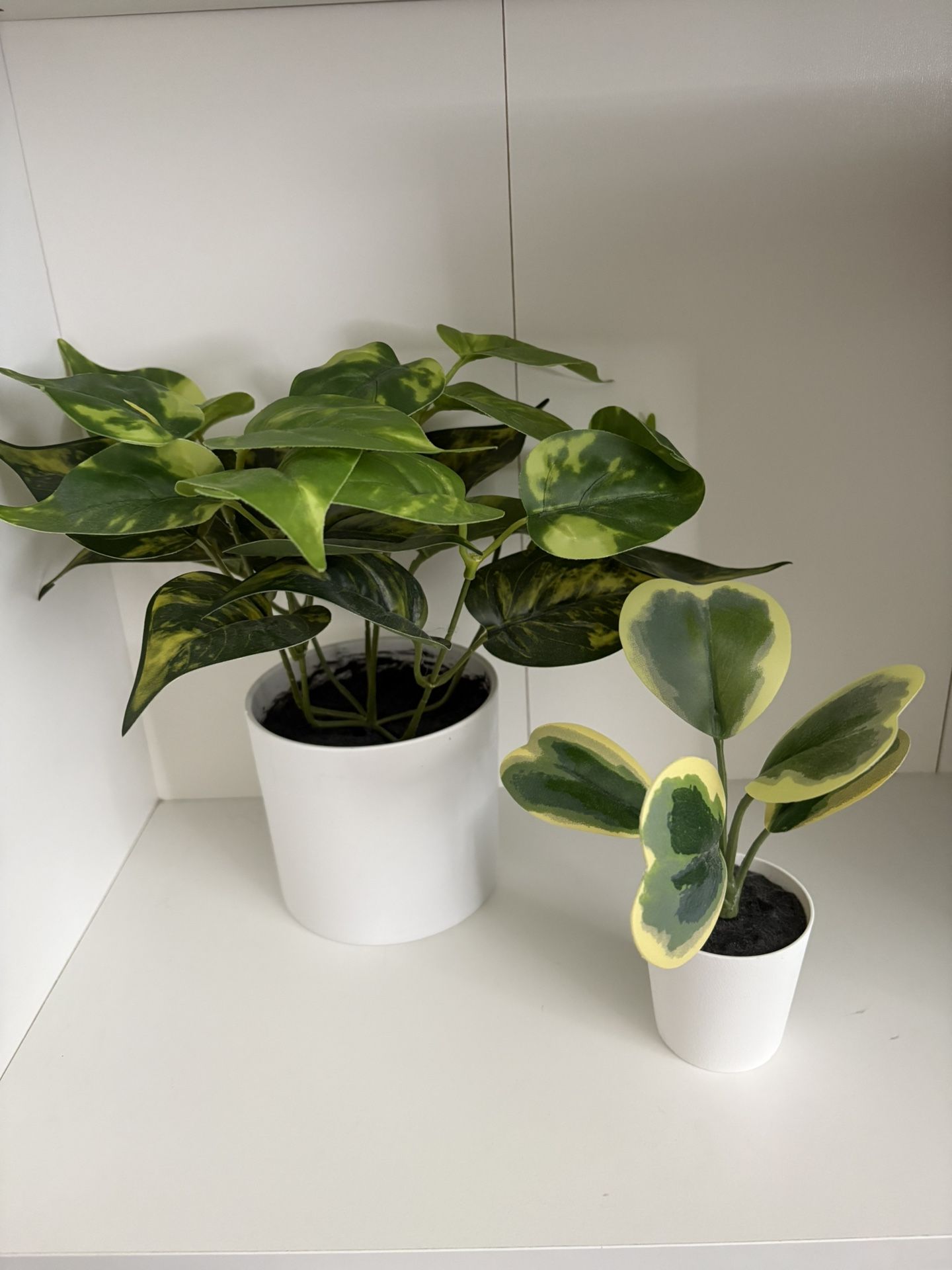 2 Fake Plants Bundle