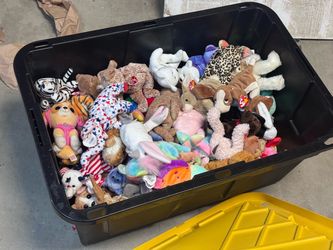 Large Lot of Ty Beanie Babies