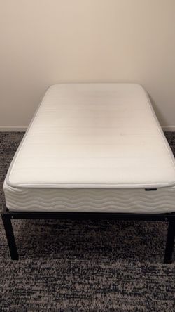 Twin beds