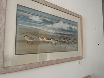 Framed fine art acrylic bird Sandpiper Beach Painting by Shannon 2022