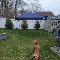 Sports Craft Pop Up Tent Canopy