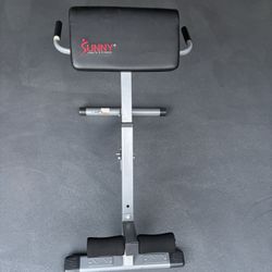 45 Degree Hyperextension Roman Chair | Sunny Strength