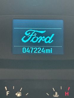 Dog grooming ford transit 250