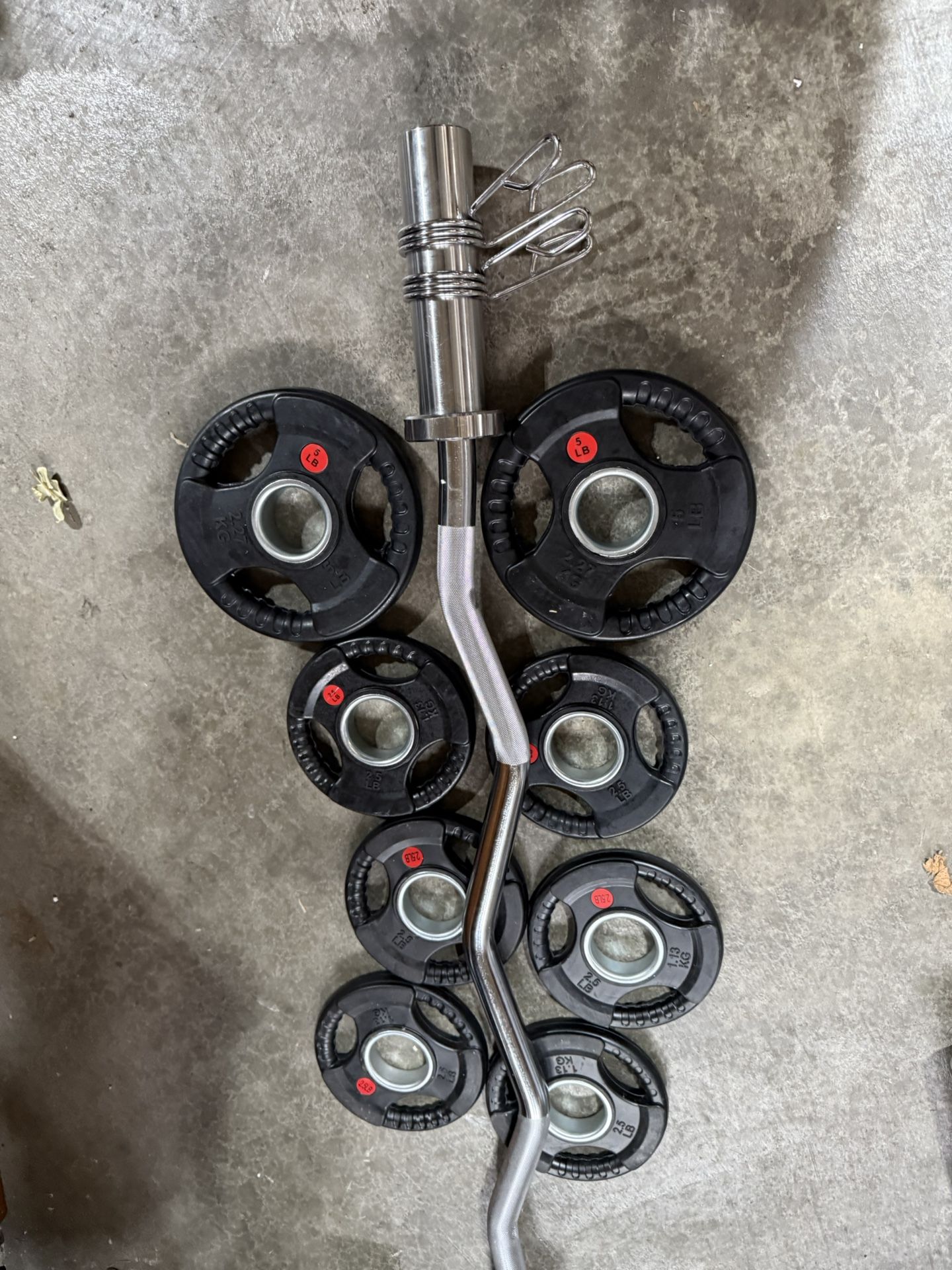 Olympic Weights Curl Bar Set