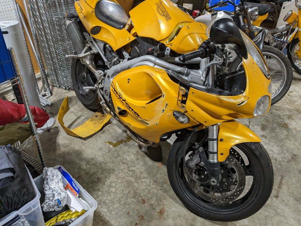 triumph t595 for sale