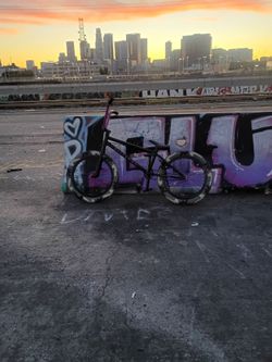 Elite bmx 20 inch