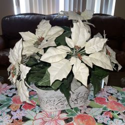 White Poinsettia (Euphorbia pulcherrima) Artificial Flowers  With Iron Vase. +/- 17.5” The Tallest Flowers.
