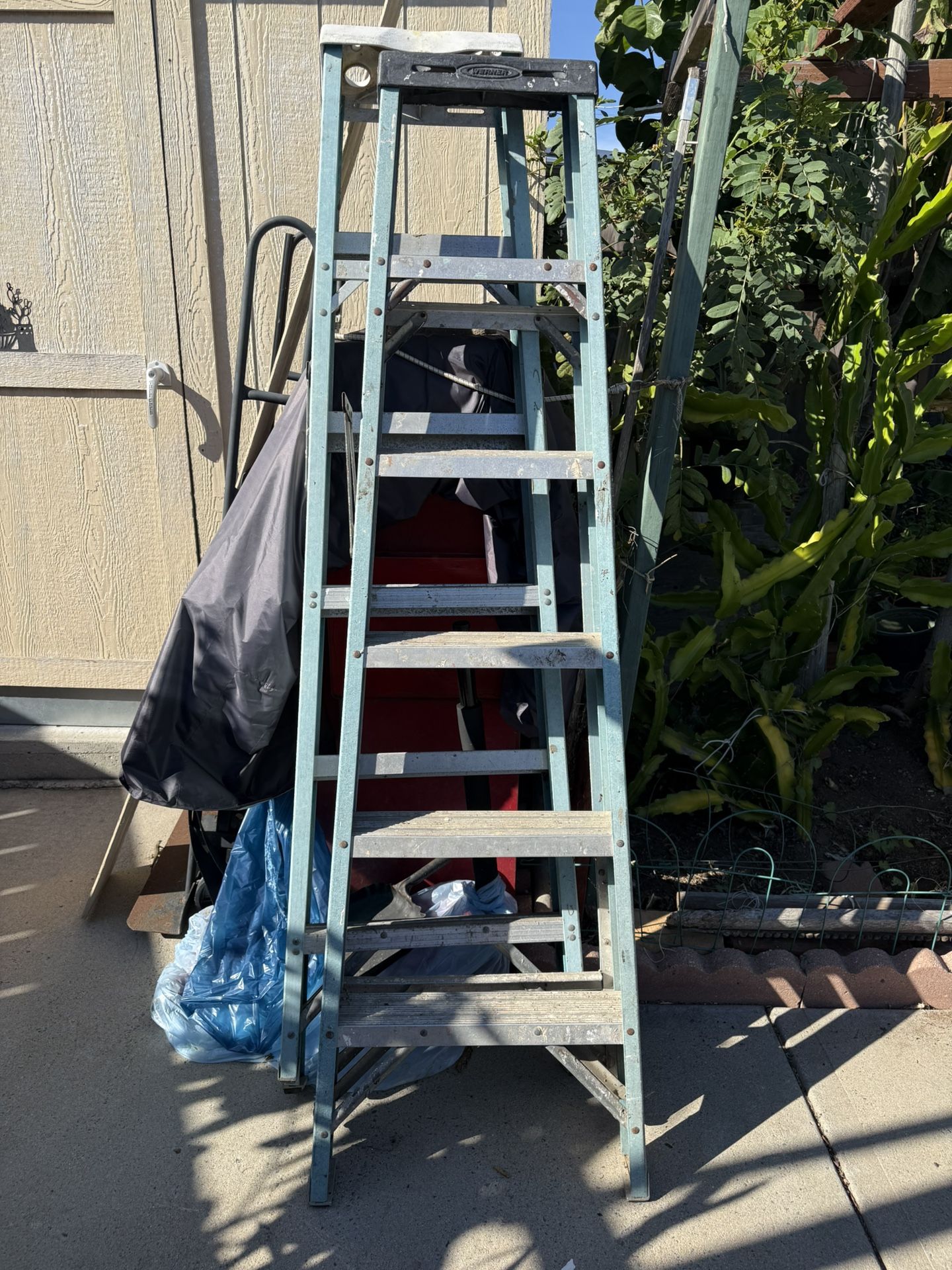 6ft Werner ladders