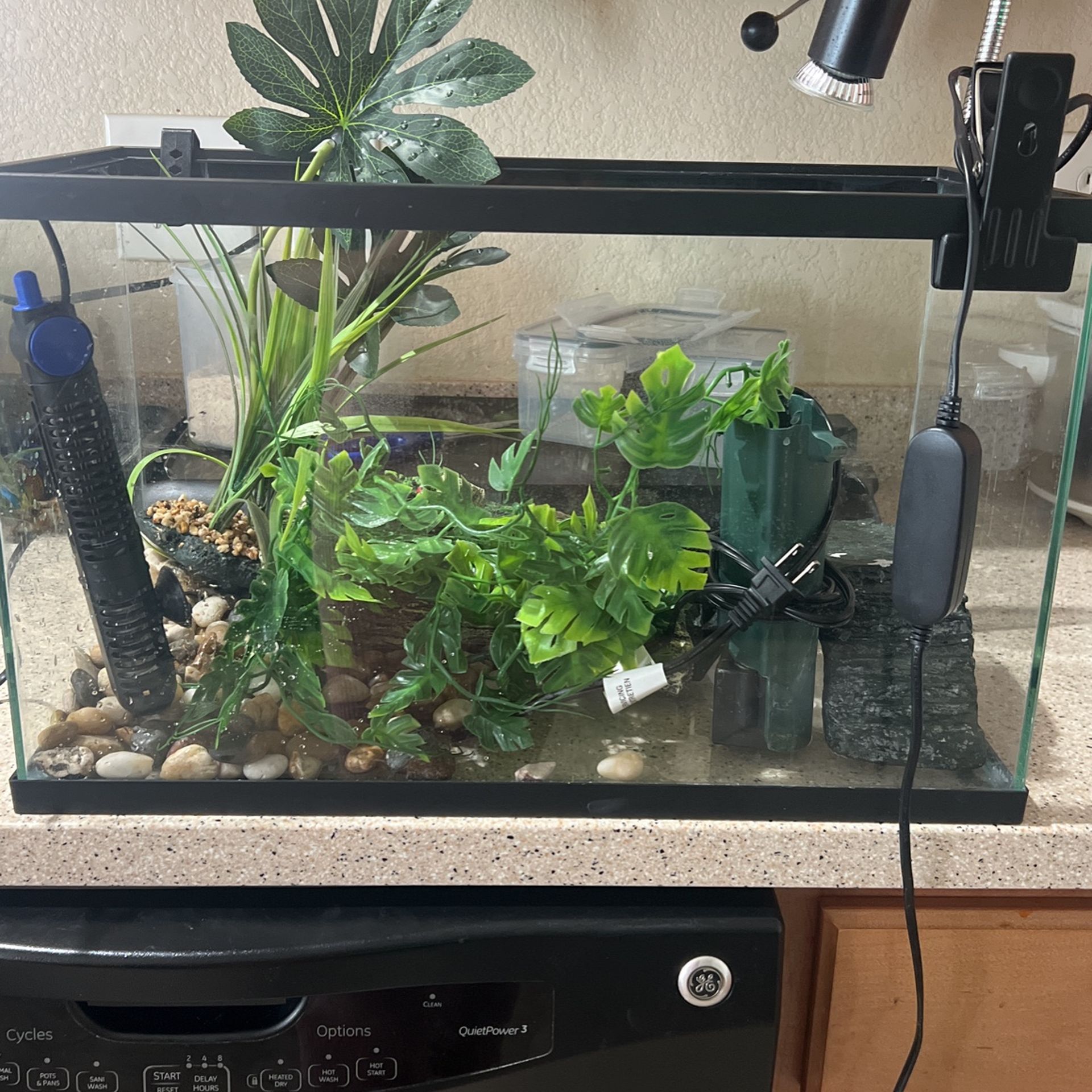 10 Gallon Turtle Tank