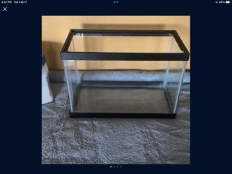 🦑🪼🦞 Fish Tank 🐠 Crab 🦀 Betta 🦎 Small Reptile Tank 