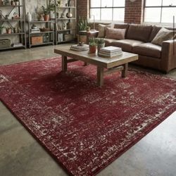 6x9 Brand New Rug