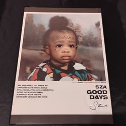SZA Frames 12 Inch 18 inch GLASS NEW 