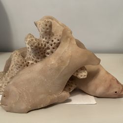 Coral Stone Sculpture 
