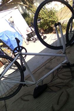 Fixie bike.clean