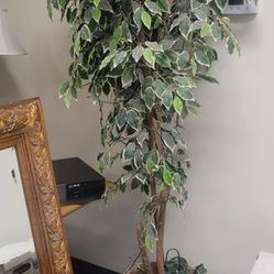 Fake Plant 