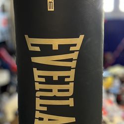 70lb Punching Bag and Hanger Kit