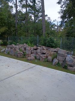 Tree logs for sale