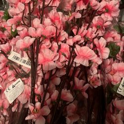 Cherry Blossom Branches