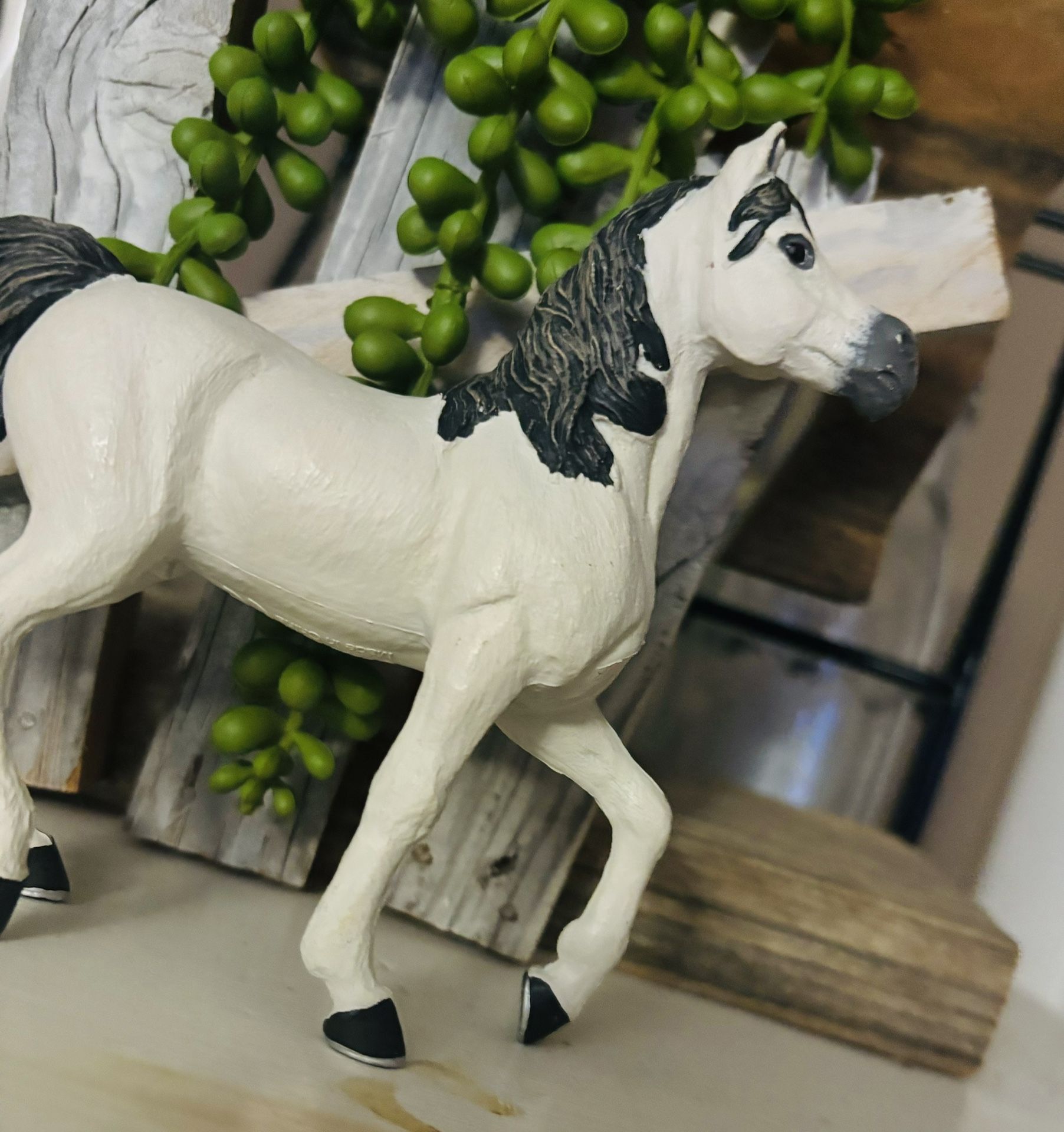RETIRED Pretty Grey & White Arab Horse